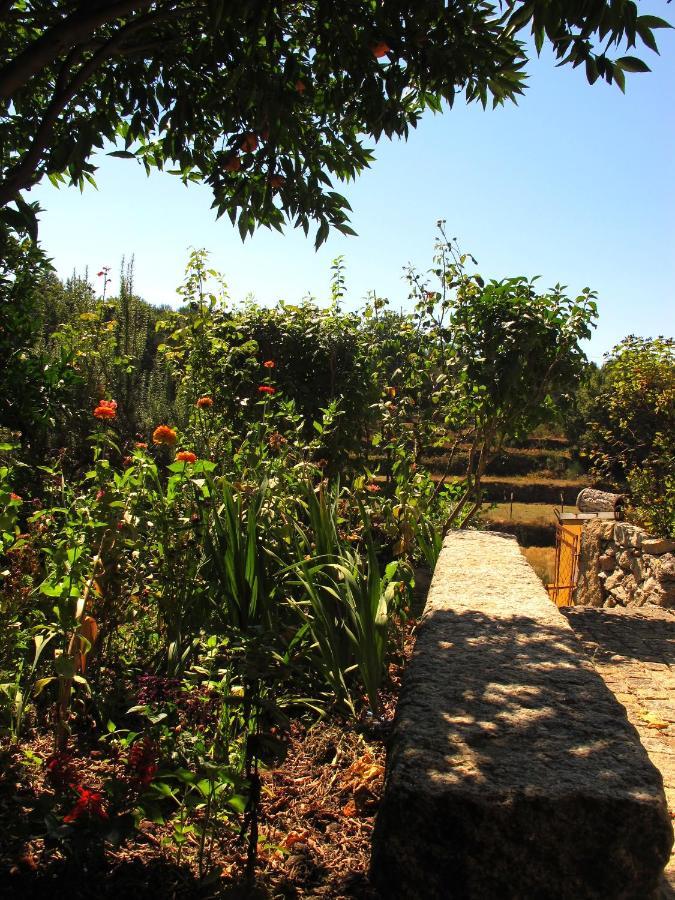 Casa Lapas Holiday home